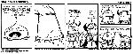 Dungeon Hordes - web comic, online comics, comics to read online, funny comics, online webomics, publish your webcomic